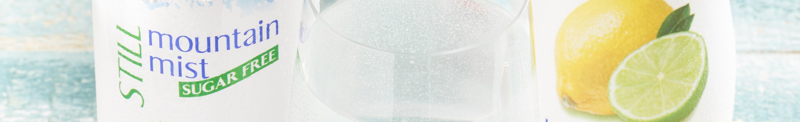 santevia pitcher filter