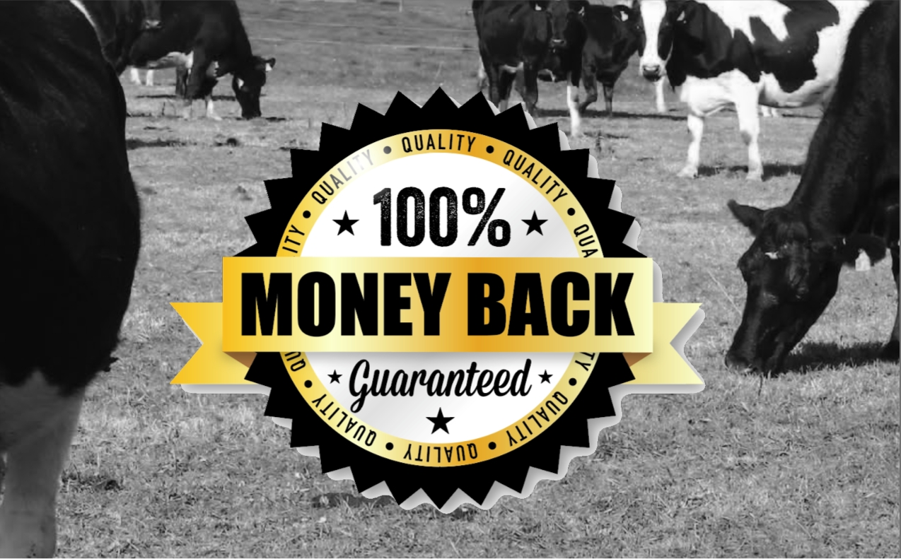 100% Quality Guaranteed