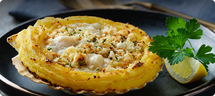 Coquille