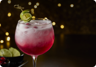 Cranberry Gin & Tonic