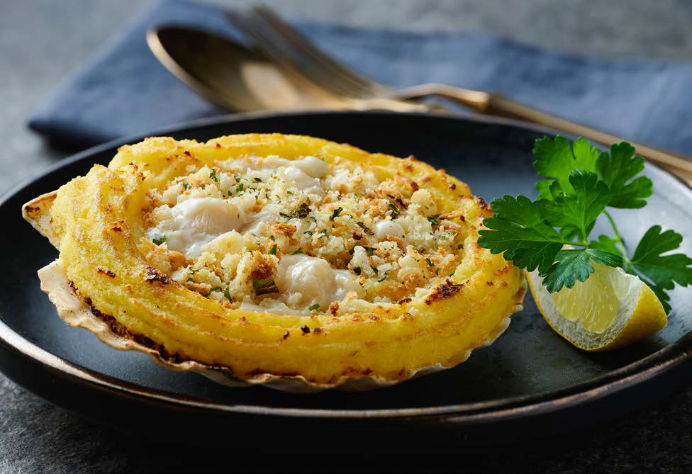 coquilleImage