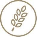 gluten icon