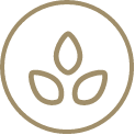 Sesame icon
